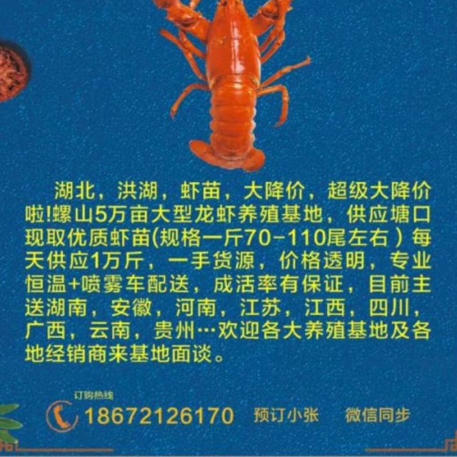 洪湖小龙虾交流群