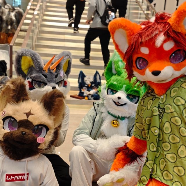 furry in 绵阳