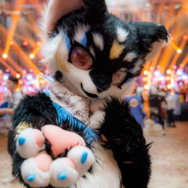 Furry广东