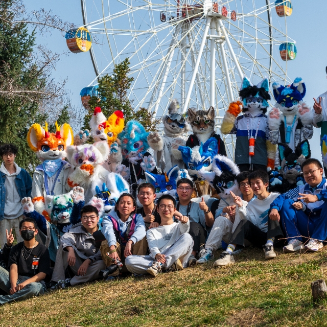 乌鲁木齐市毛毛