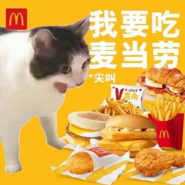 梅河口furry