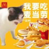 梅河口furry