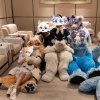furry深圳群
