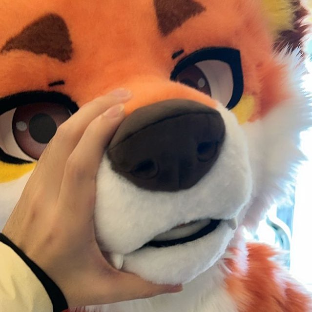 陕西furry