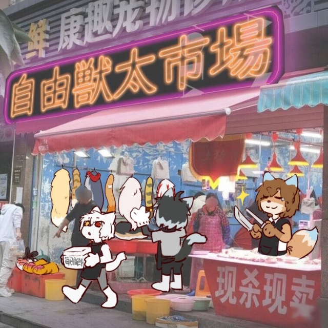 徐州的毛毛们