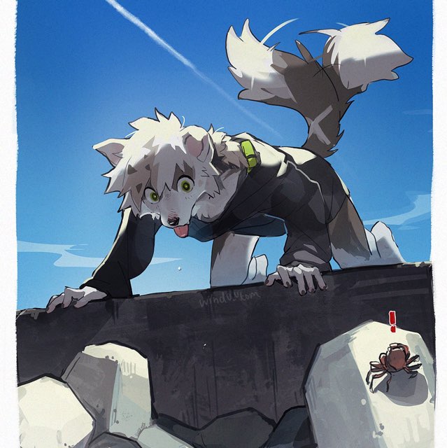 无锡Furry毛毛聚集地
