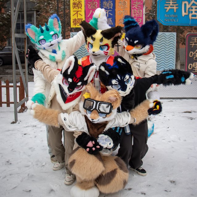 宁夏收购A家福瑞Furry委员会