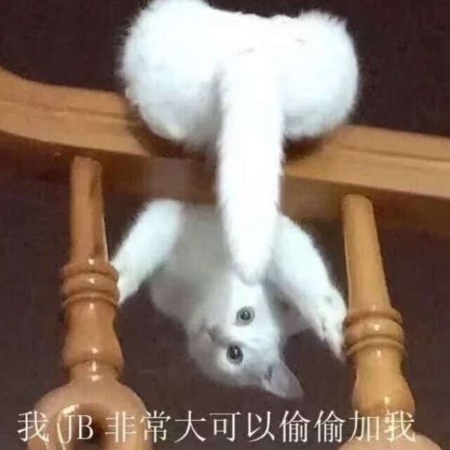 群头像
