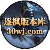 逐枫版本库-30wj.com ①