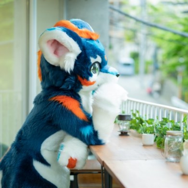 Furry福建兽城