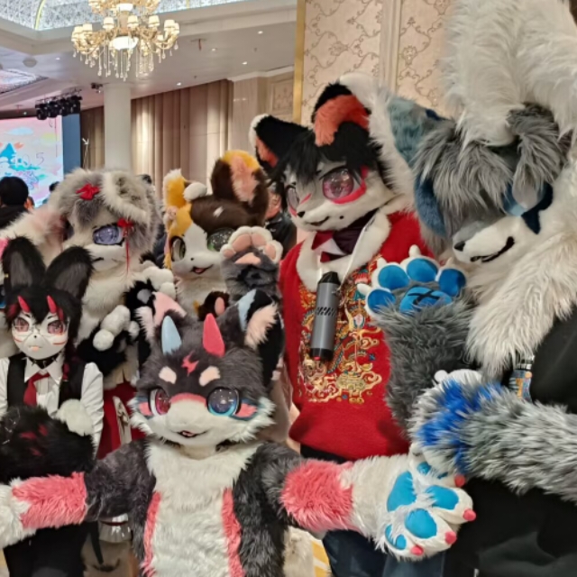 烟台Furry
