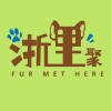 浙里聚fur met here官方群