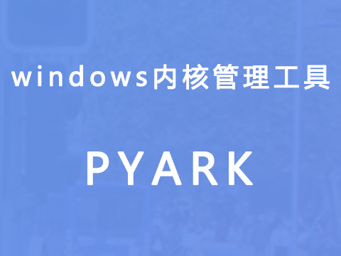 windows内核管理工具-PYARK